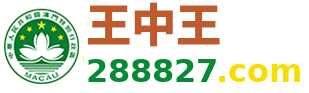 王中王